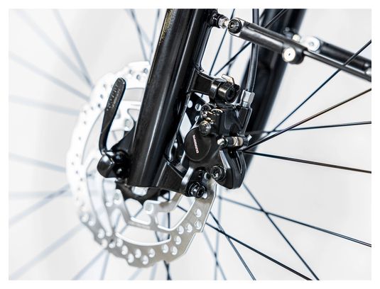 Vélo de Ville Électrique Trek Verve  2 Lowstep Shimano Acera/Altus 9V 400 Wh Vert Sauge