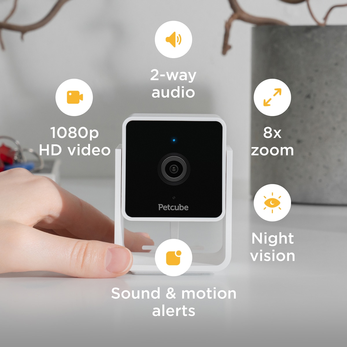 Petcube Cam