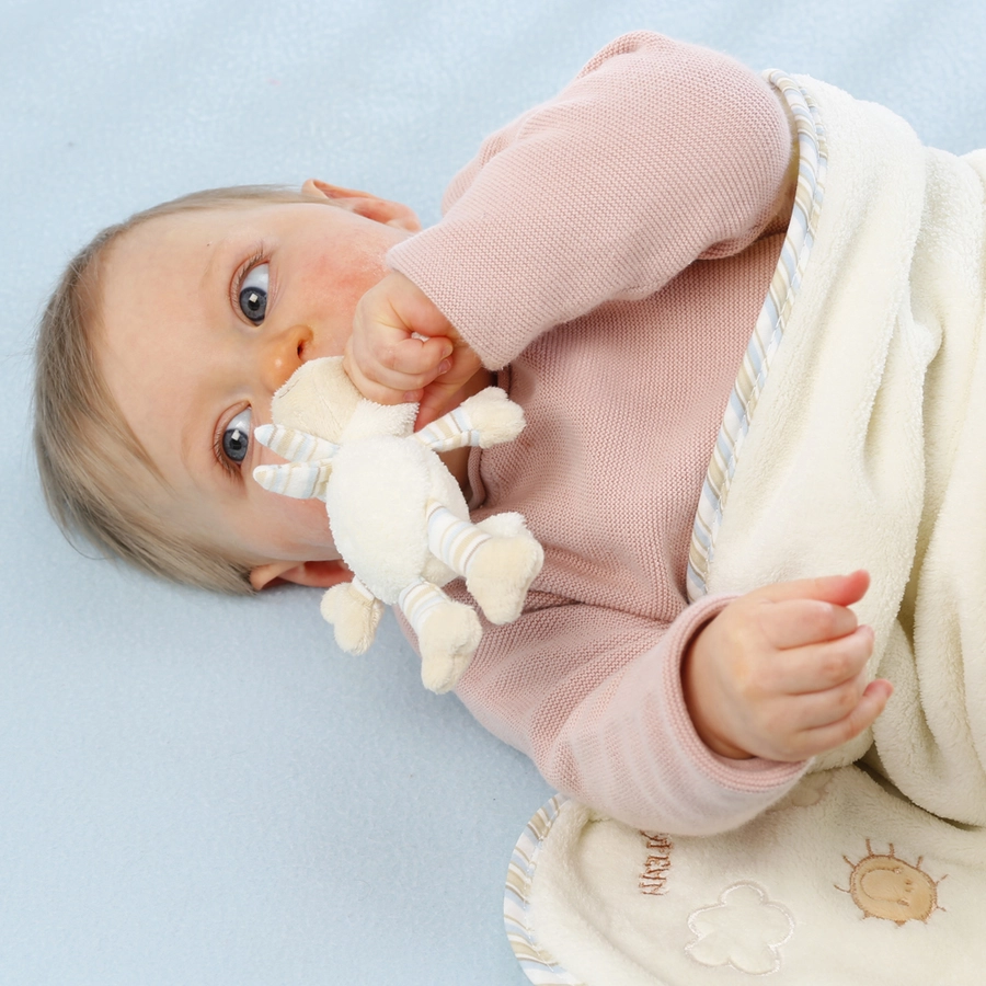 FEHN Kuscheldecke Baby Love Schaf Paul