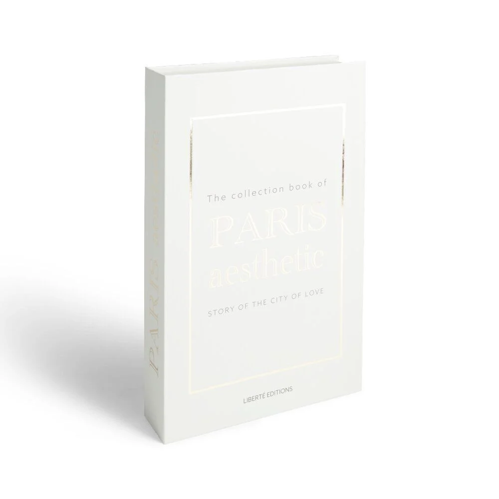 Boîte de rangement faux livre décoratif Paris Aesthetic 27x17x4cm