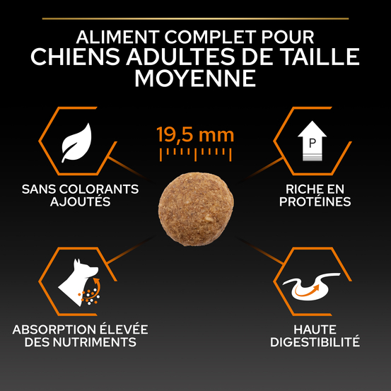 Croquettes chien adulte Super Premium - 14 kg + 2,5 kg offerts