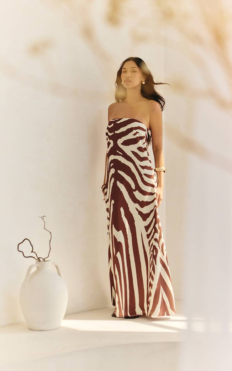 Marron Robe Longue Bandeau Tissée À Imprimé Zèbre Abstrait