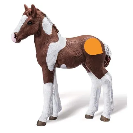 Ravensburger tiptoi Barockpinto Fohlen