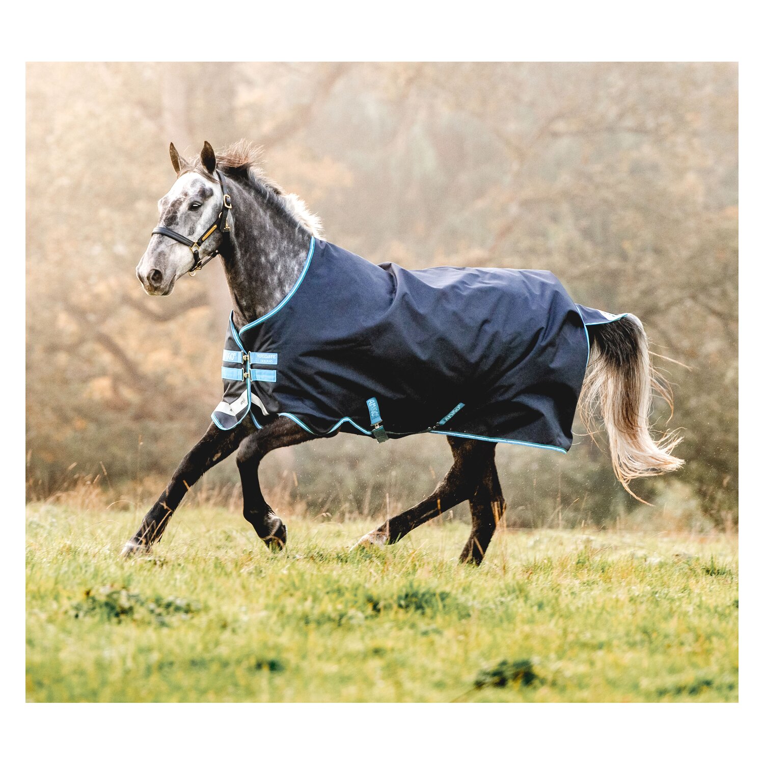 HORSEWARE Outdoordecke AMIGO Bravo 12 Turnout 50 g - navy/turquoise/check