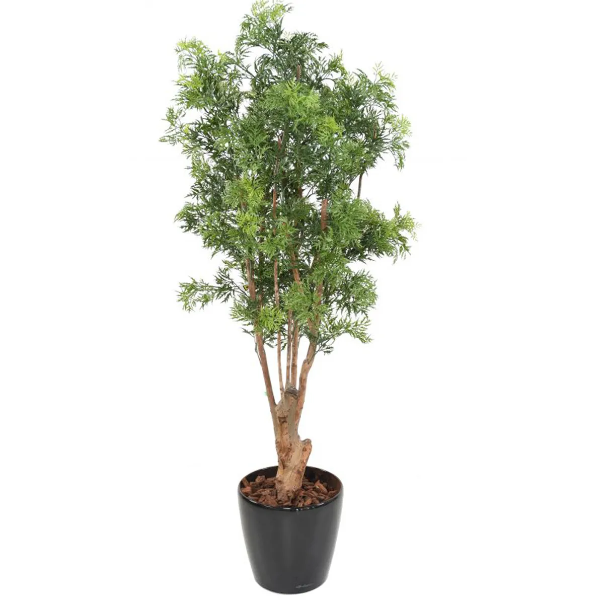 Pegane Aralia artificiel - H.165 cm - Vert