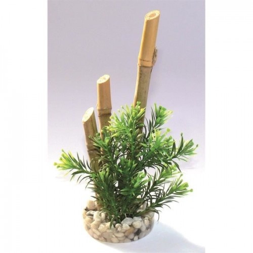 Plantas de bambu Cstore Sydeco para aquários