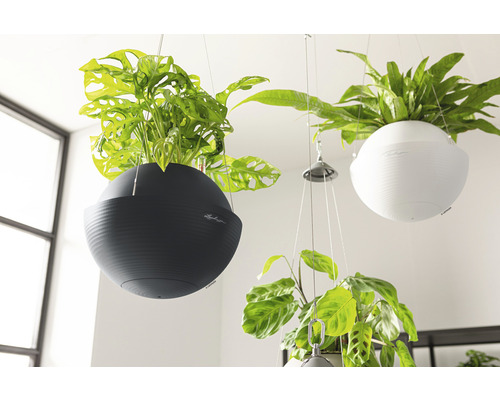 Lechuza Bola Color 32 hangpot, kunststof, 32 x 32 x 25 cm, wit, inclusief zelfbewateringssysteem, planteninzet en substraat