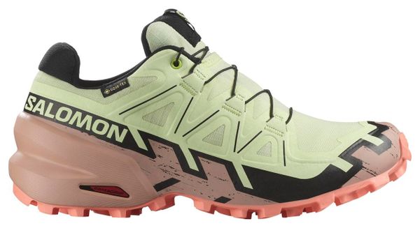 Chaussures Trail Salomon Speedcross 6 GTX Vert/Rose Femme