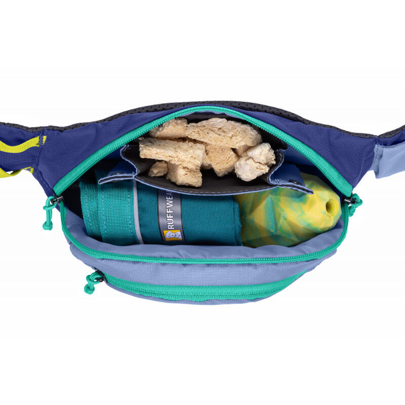 Home Trail Hip Pack