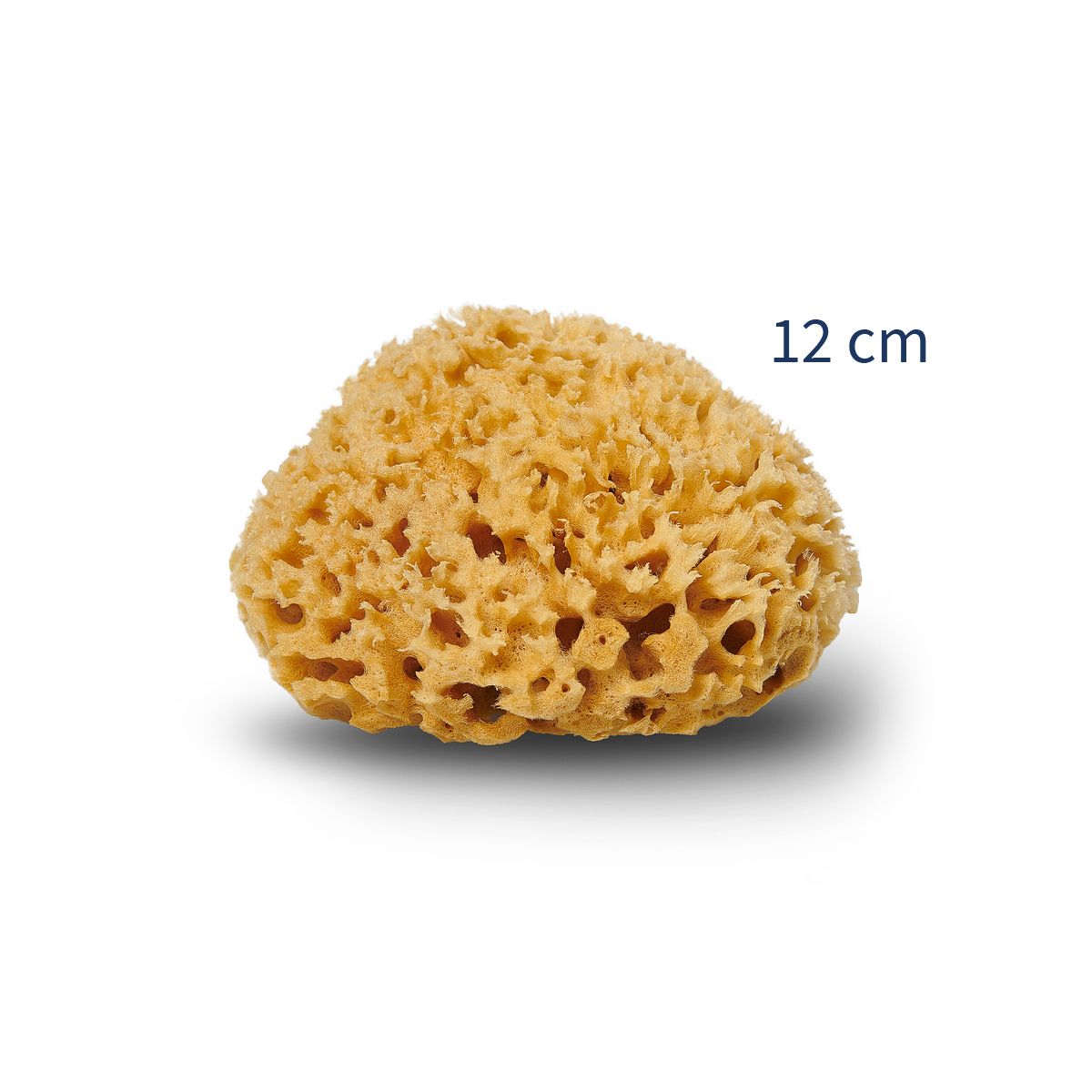 Cocoon Organic Laundry Honey svamp 12 cm