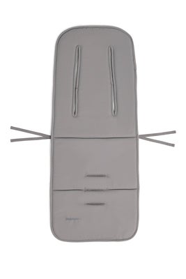 Beemoo Sittepute, Grey Swallow
