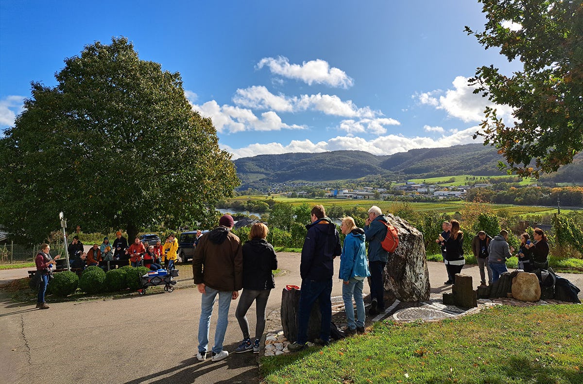 Weinwanderung Lieser an der Mosel