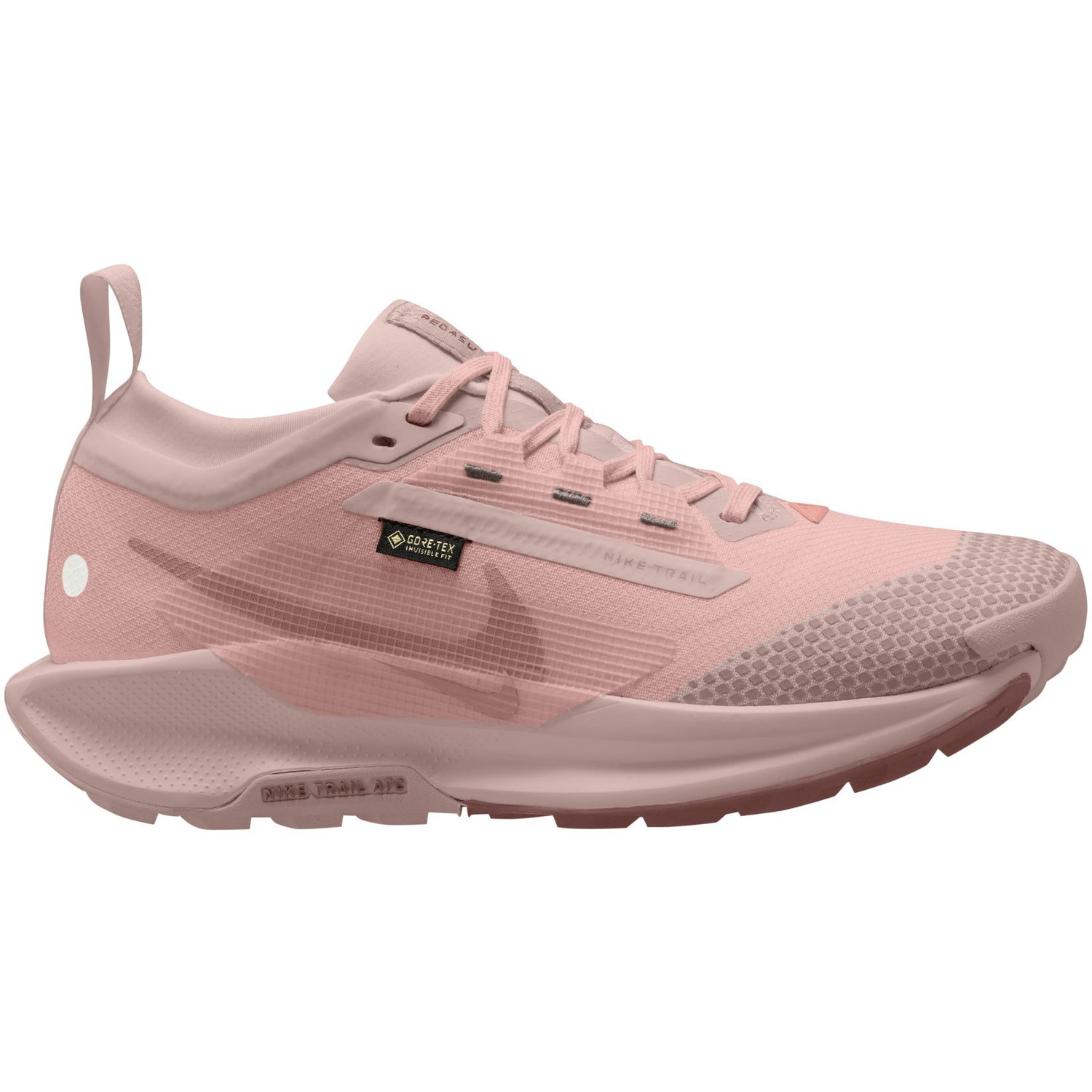 Nike Pegasus Trail 5 GTX Dames