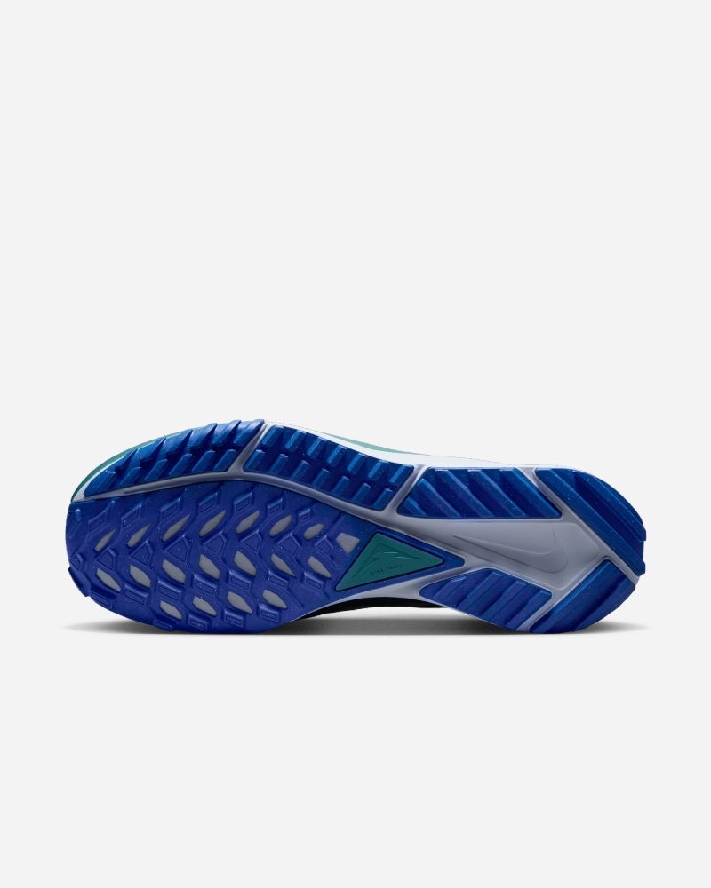 Chaussures de trail Nike Pegasus Trail 4 Blanc pour homme