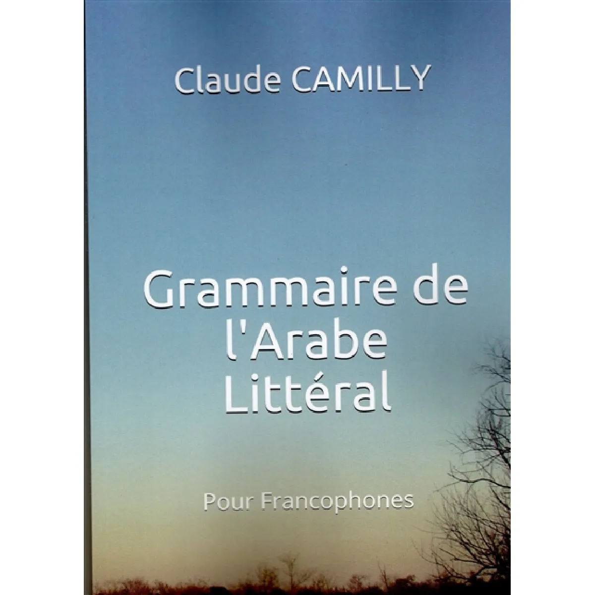 Grammaire de l'arabe littéral : pour francophones