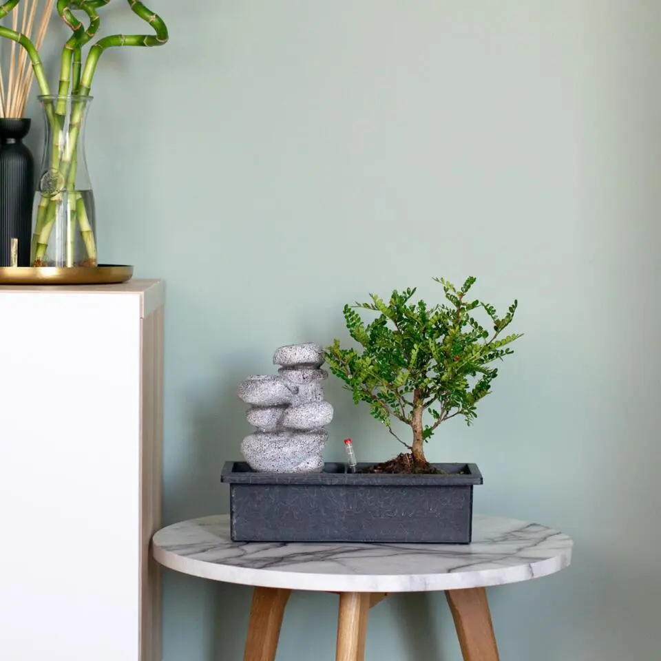 Bonsai met waterval - Set van 2 - Bonsai - Hoogte 25-35cm - ⌀29cm