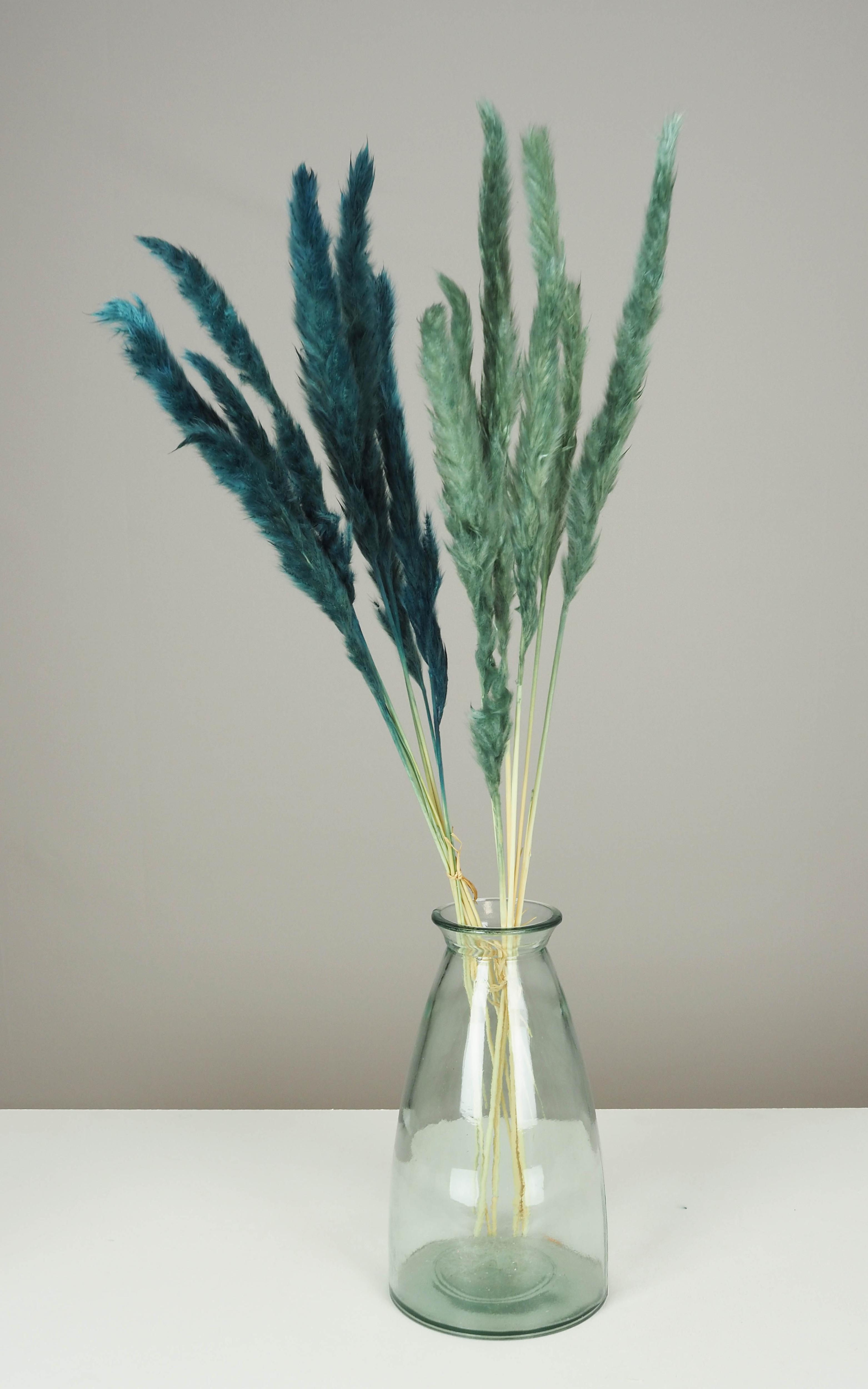 PLUMEAU PAMPA NATUREL H.90CM BLEU ET VERT X6 PIECES