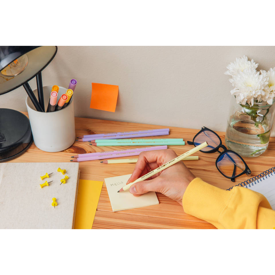 BIC Evolution HB potloden met gum - 5 stuks