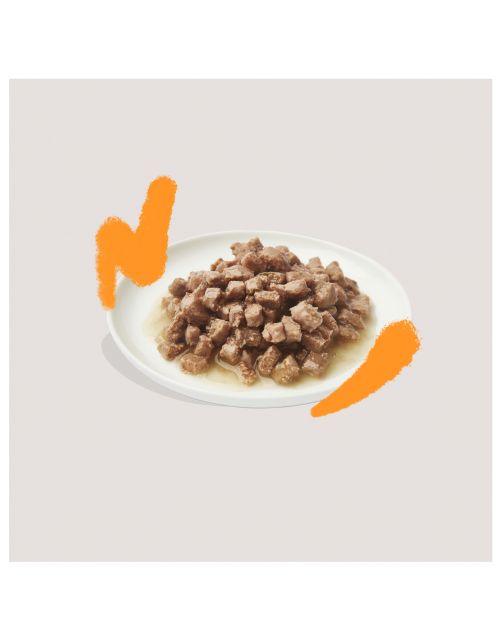 Edgard&Cooper Multipack Chunks - Kattenvoer - Kip Zalm Lam 8x85 g