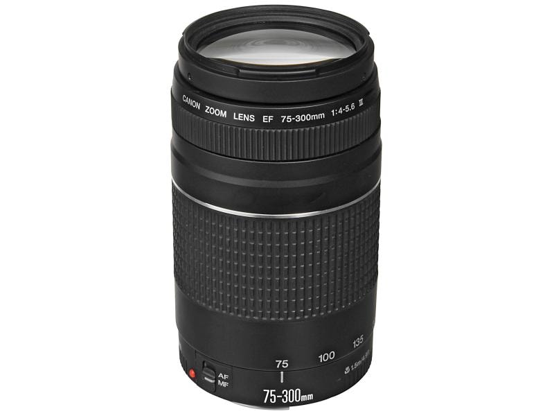 Canon Fotokamera EOS 2000D Kit 18-55 inkl. EF 75-300mm Einstiegs-DSLR mit APS-C-Sensor und zwei Objektiven