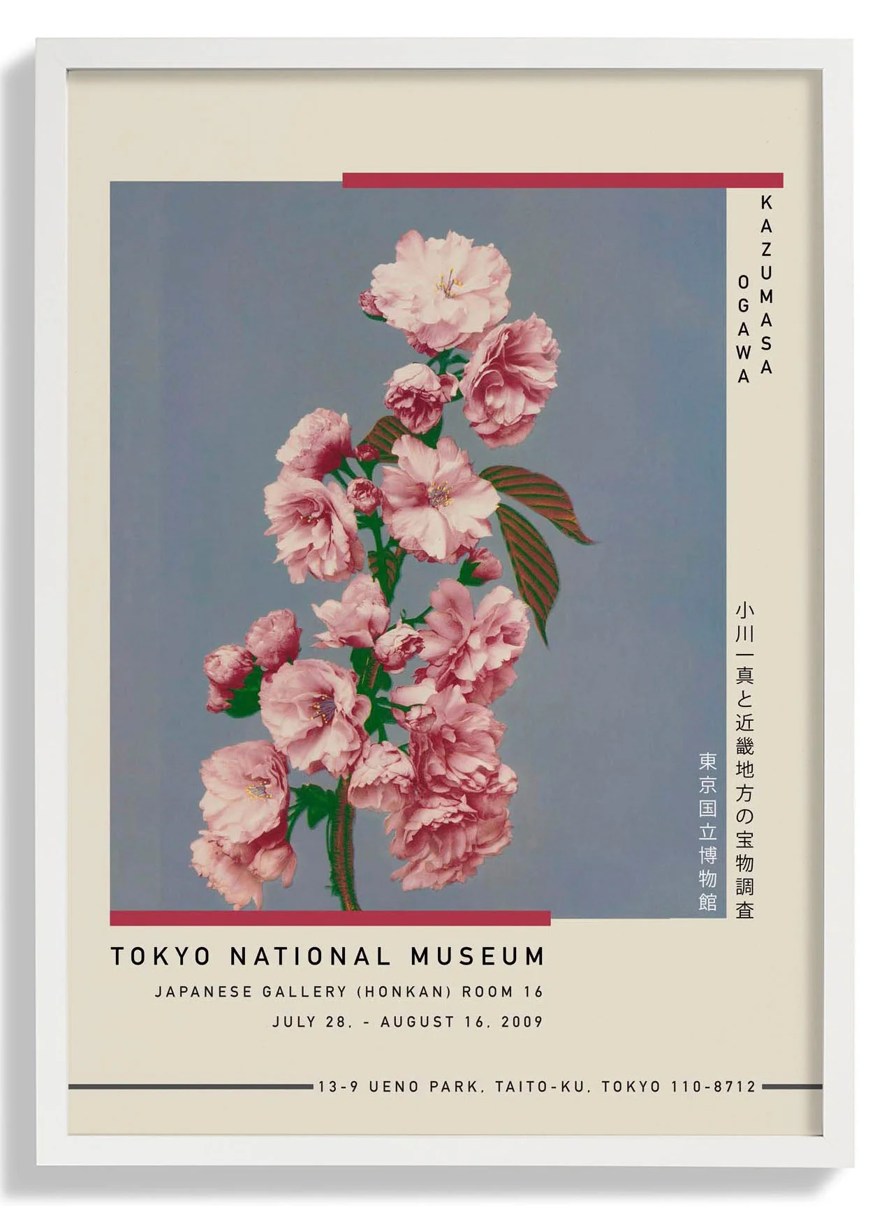 Kirschblüte von Kazumasa Ausstellung