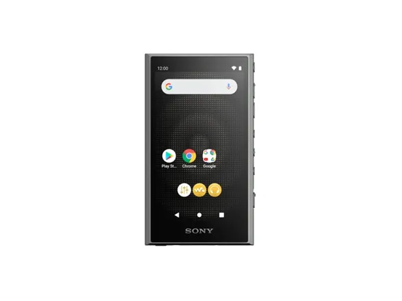 Sony Walkman NW-A306 - Digital afspiller - 32 GB - sort
