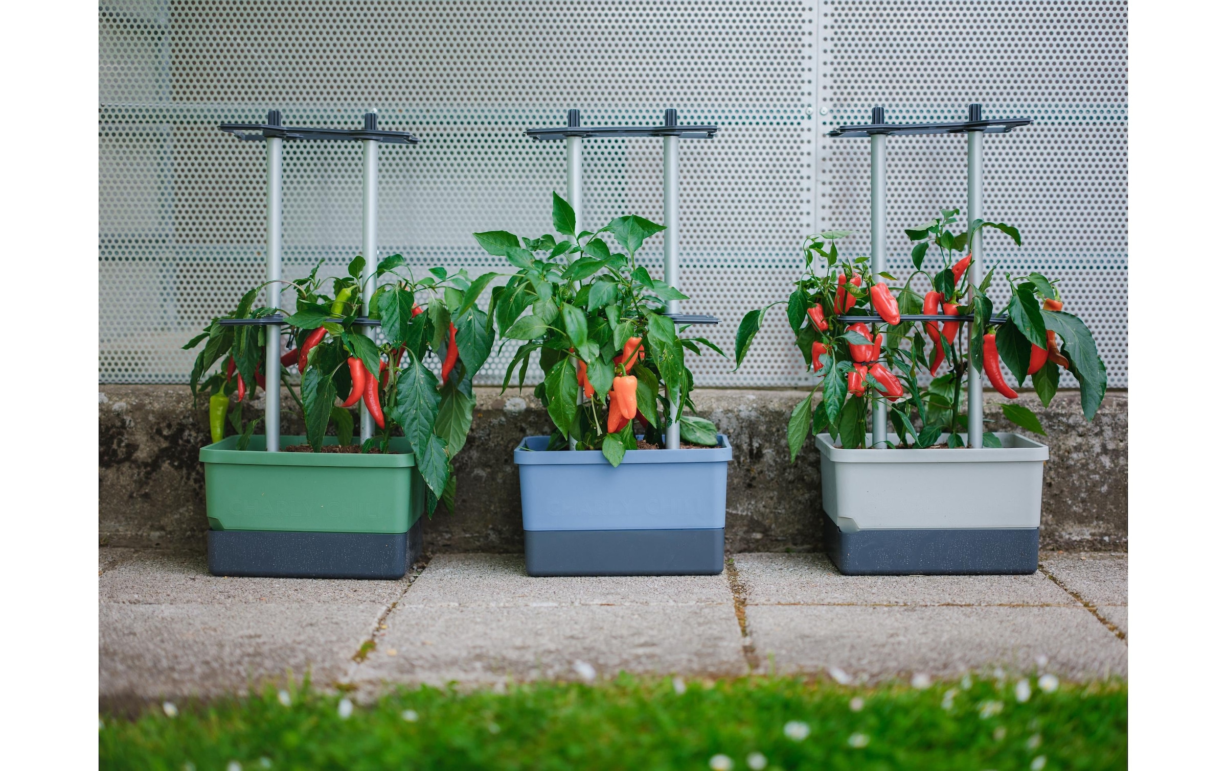 Gusta Garden Pflanzkübel »CHARLY CH«
