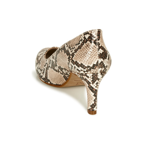 André - POMARA 2 - Beige