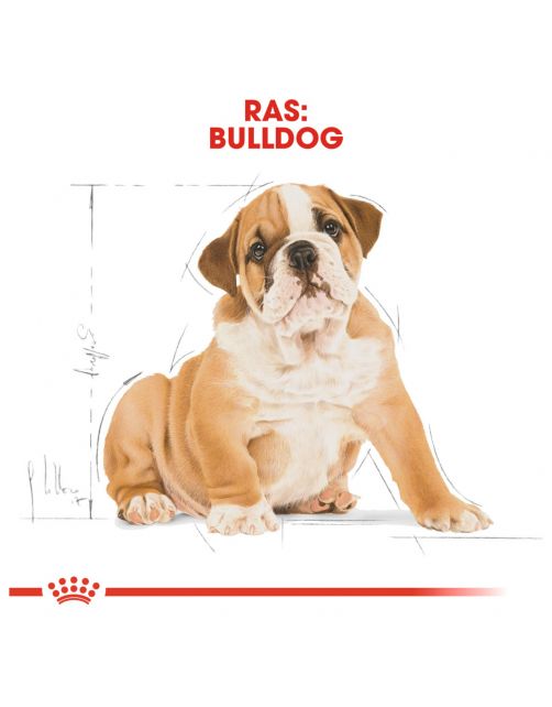 Royal Canin Bulldog - Puppy-Hondenvoer