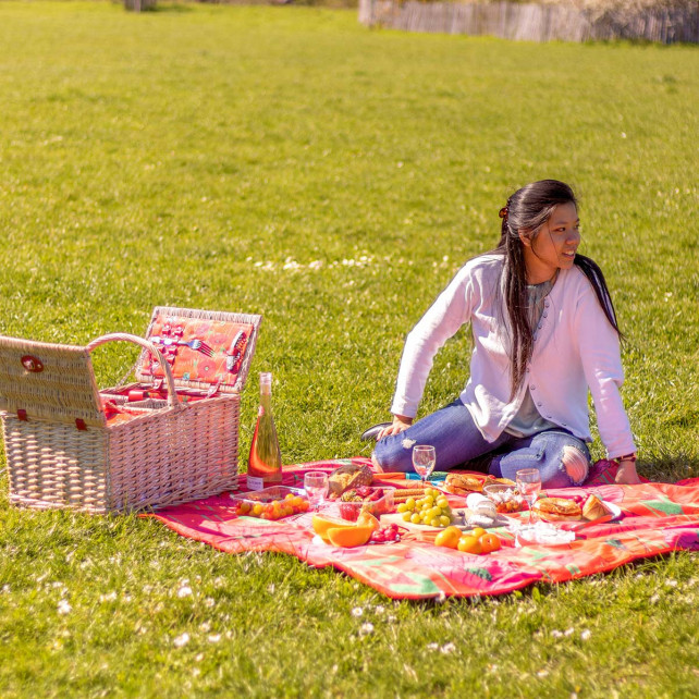 Panier de pique nique - Déjeuner sur l'herbe