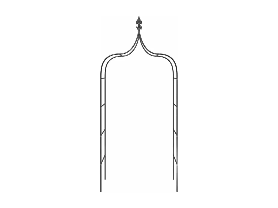 Arches de jardin 2 pcs Noir 120x38x260 cm Acier