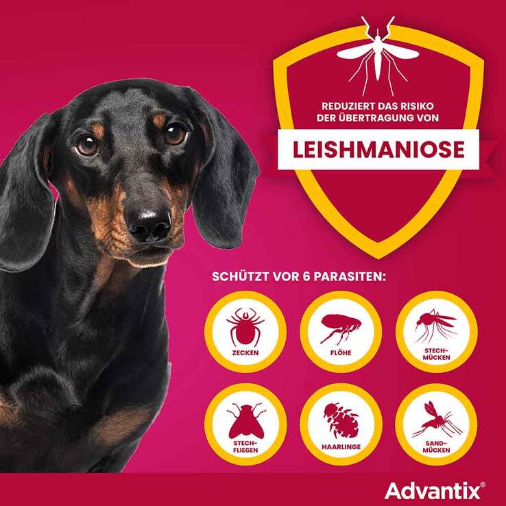 Advantix Spot-on Hund bis 4 kg Lösung, 4 St