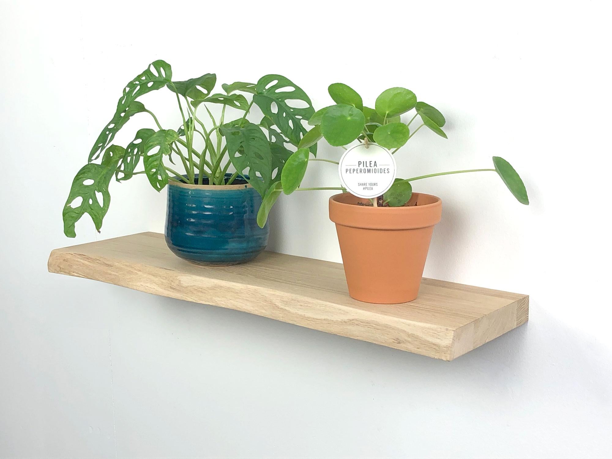 WB zwevende wandplank 80 x 20 cm eiken boomkant