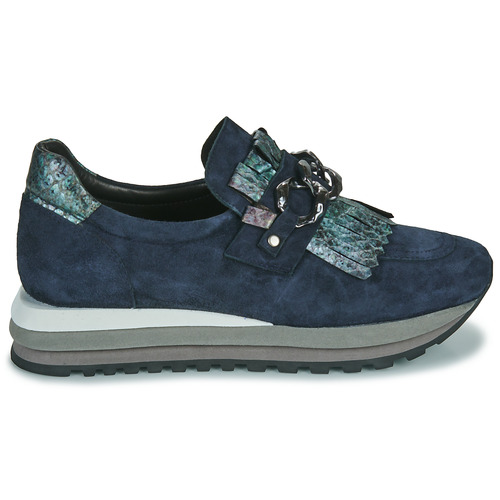 Regard - KRIC - Bleu