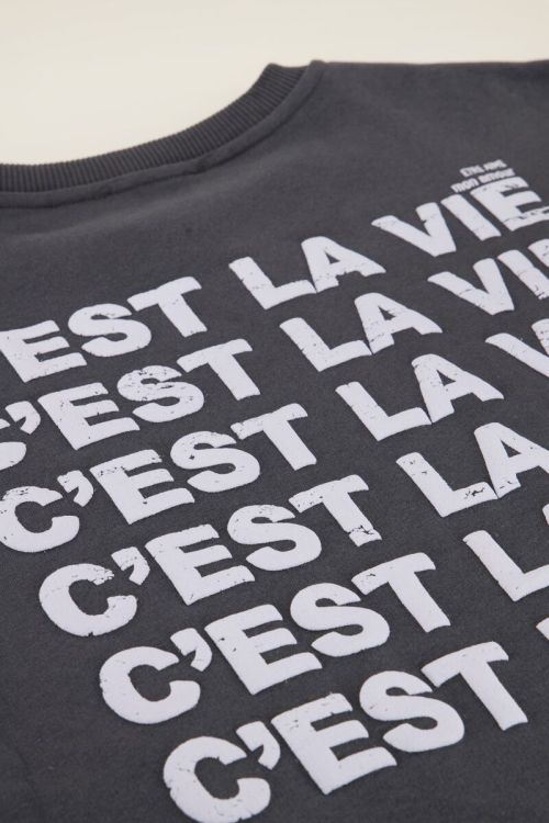 Grijze sweater C'est la vie