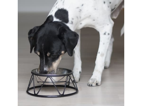 Dogman Menja Food Bowl