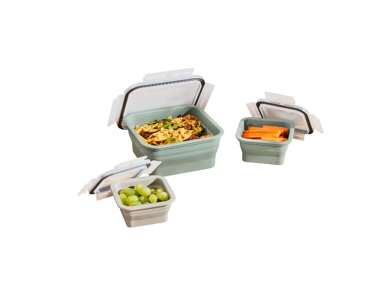 Opvouwbare vershoudbakjes of lunchbox