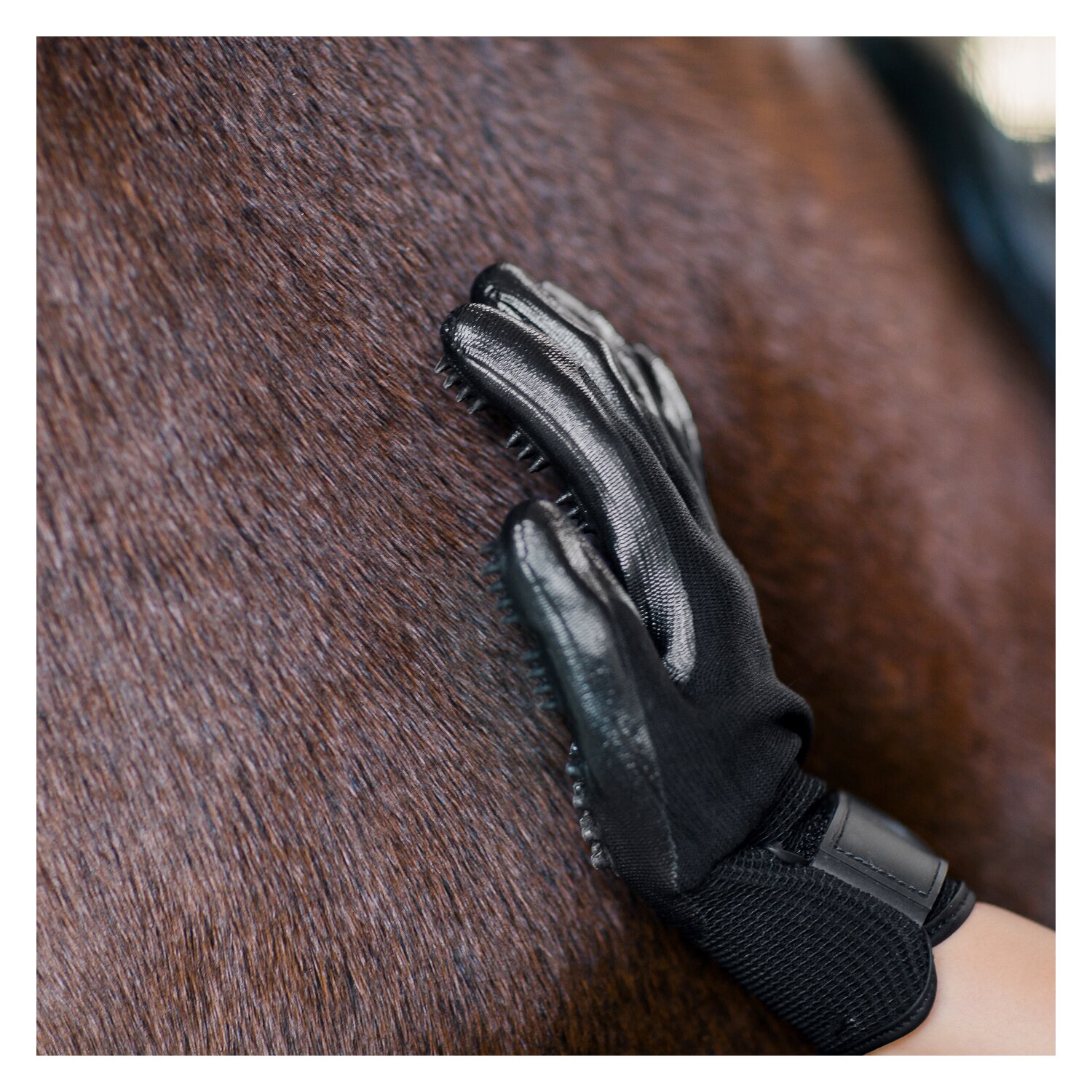 Loesdau Pflegehandschuhe  - schwarz