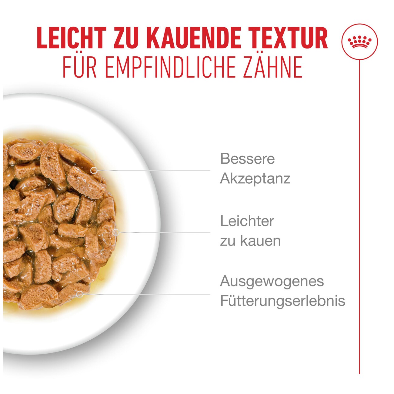 ROYAL CANIN Nassfutter Katze, Senior Ageing 11+, Sauce 12x85 g