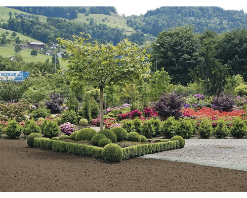FloraSelf geo fleece grijs 15x1 m 90g/m2