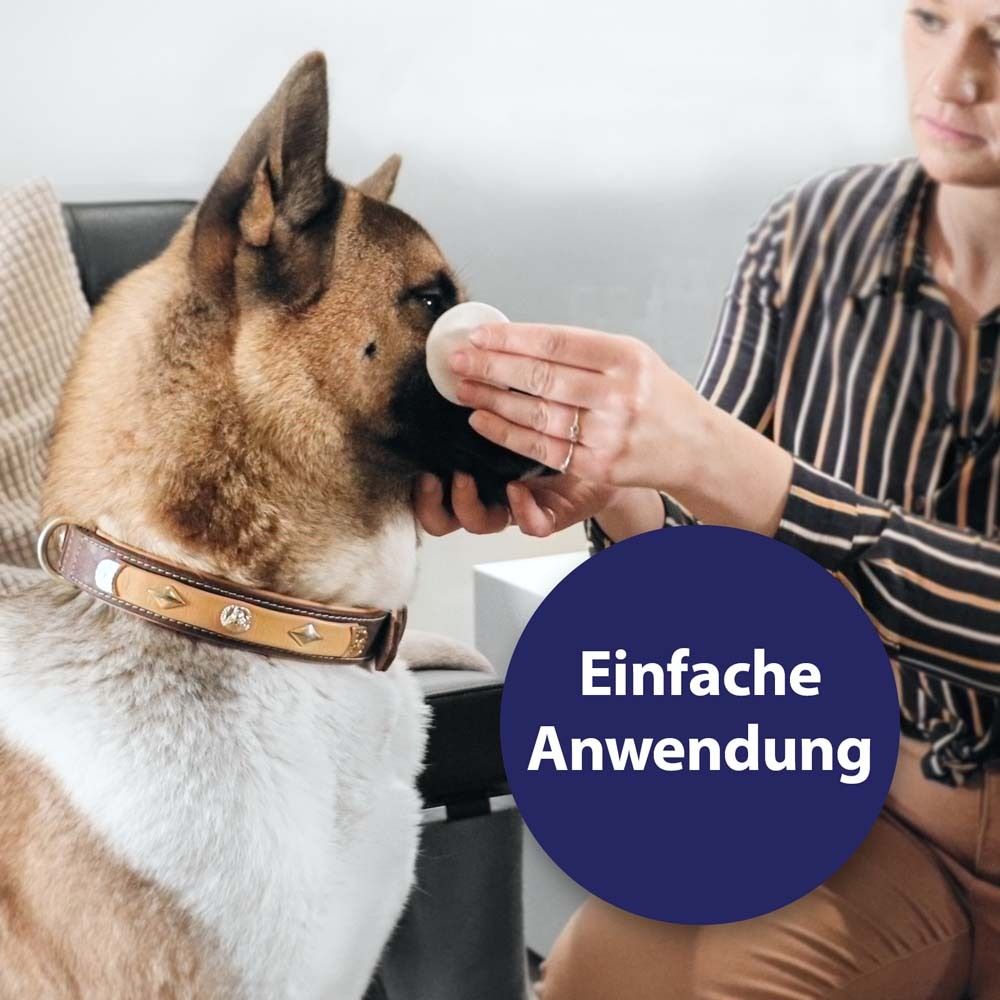 Canosept® Augenpflege-Pads für Hunde