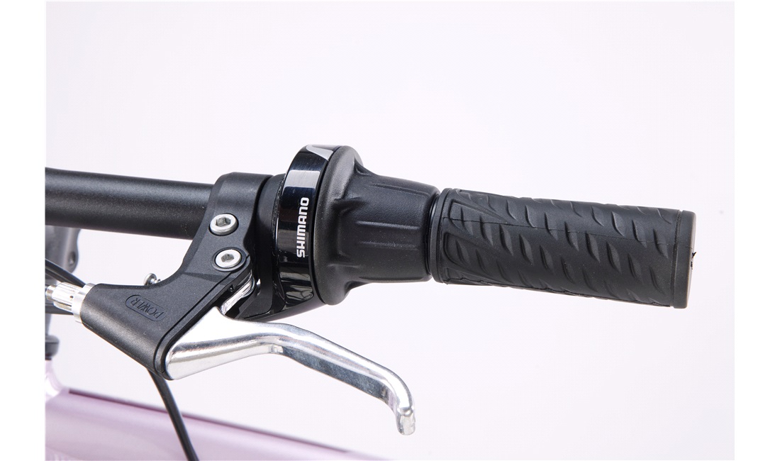 Mountainbike 2621 26