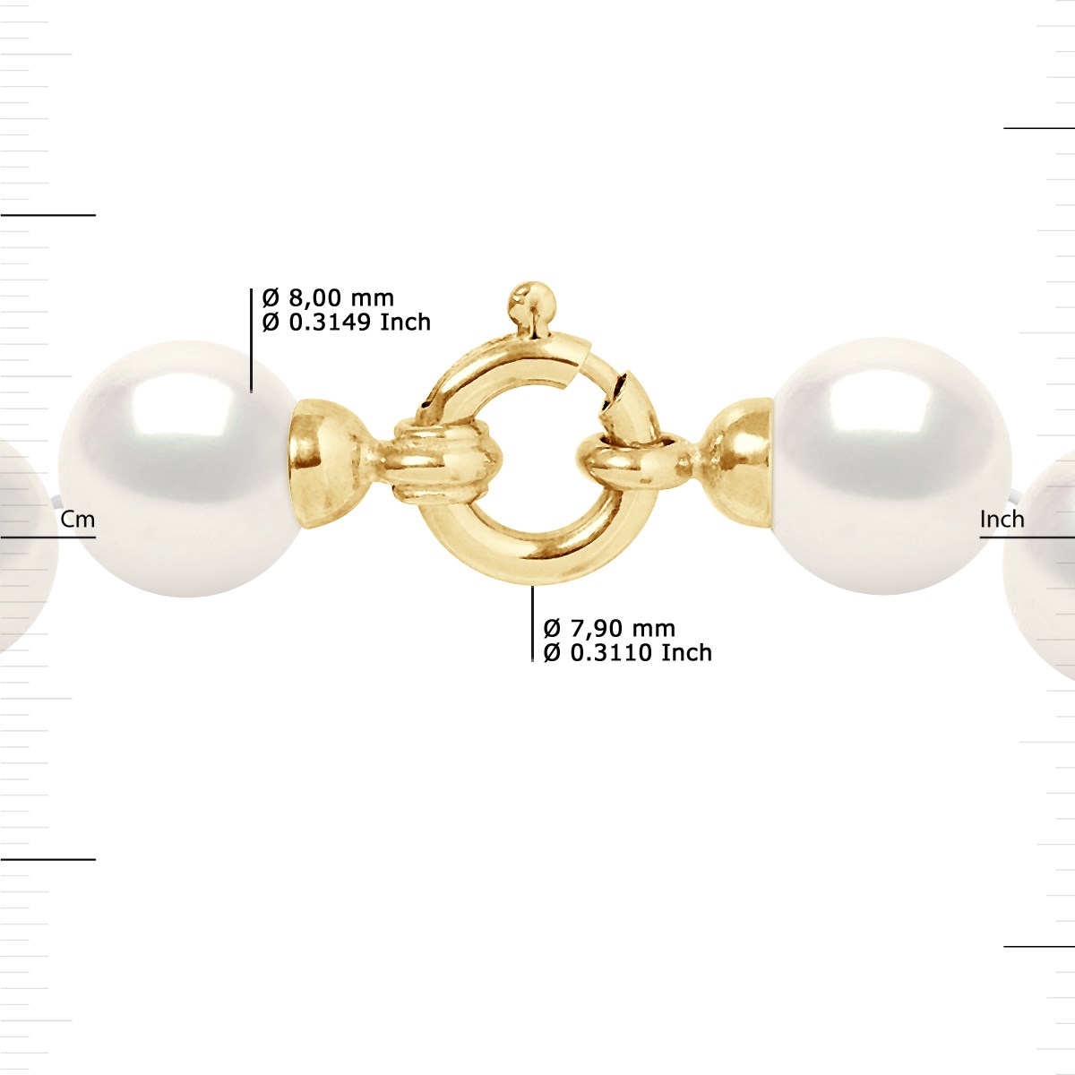 Collier Rang 