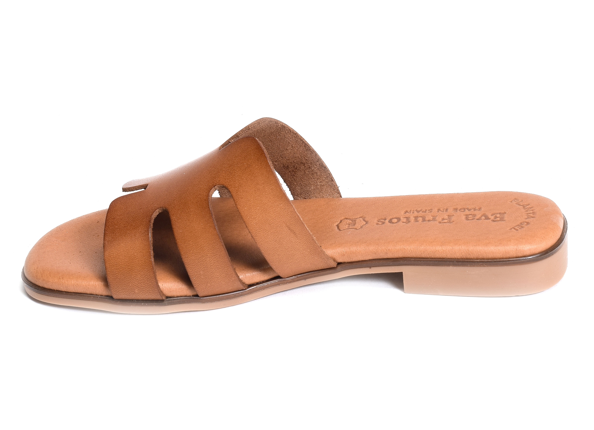 3076 camel