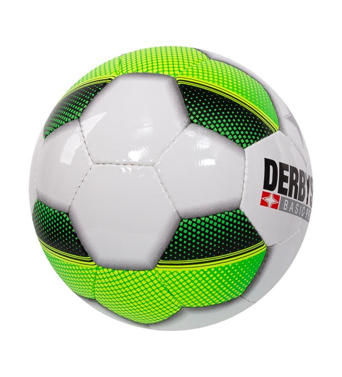 Derbystar Futsal Basic Pro TT