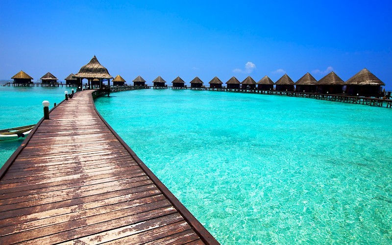 Hotel The Barefoot Eco