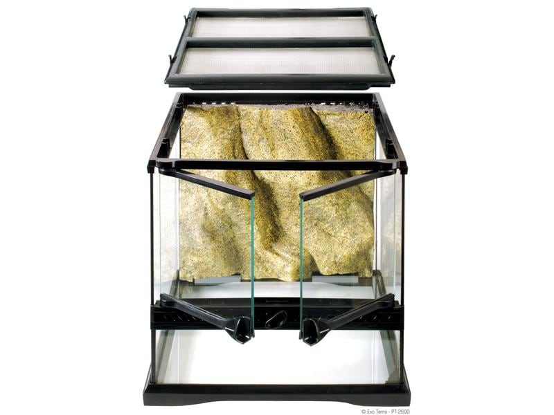 Exo Terra Glasterrarium Natural Mini/Wide, 30 x 30 x 30 cm Terrarium für Reptilien und Amphibien inkl. Steinmotivrückwand