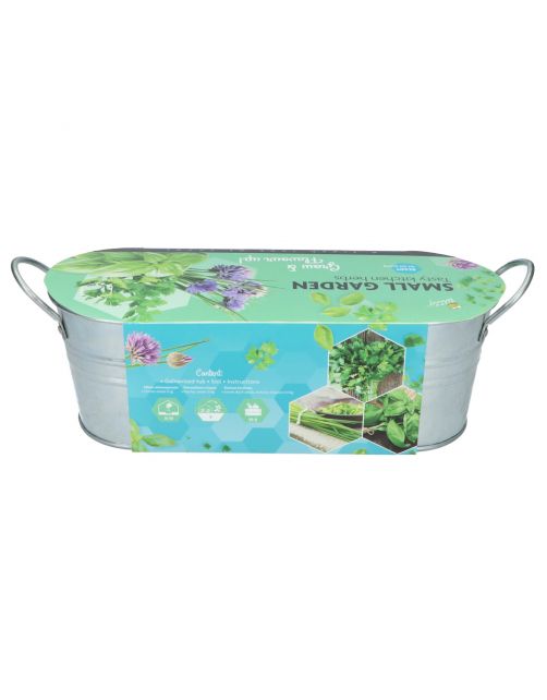 Buzzy Small Garden Tasty Kitchen Herbs - Kweeksets - per stuk