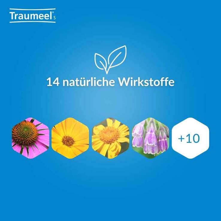 Traumeel S Tabletten, 3x50 St