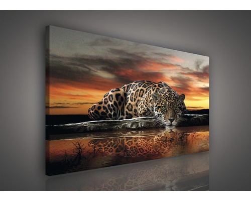 Canvasprint Luipaard 75x100 cm